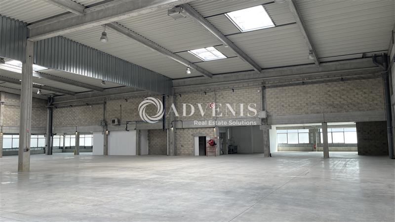 Location Activités Entrepôts LIEUSAINT (77127) - Photo 3