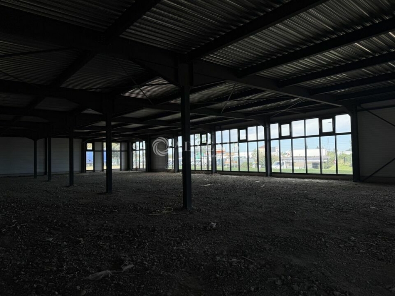 Location Activités Entrepôts ARNAS (69400) - Photo 4