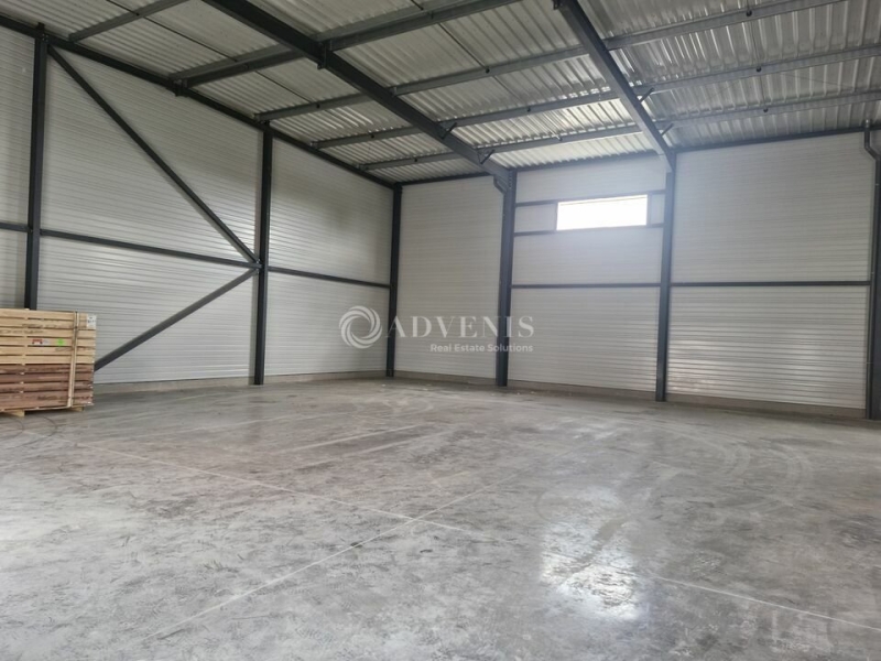 Location Activités Entrepôts CHASSIEU (69680) - Photo 3