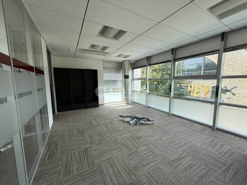 Location Bureaux LYON (69009) - Photo 6