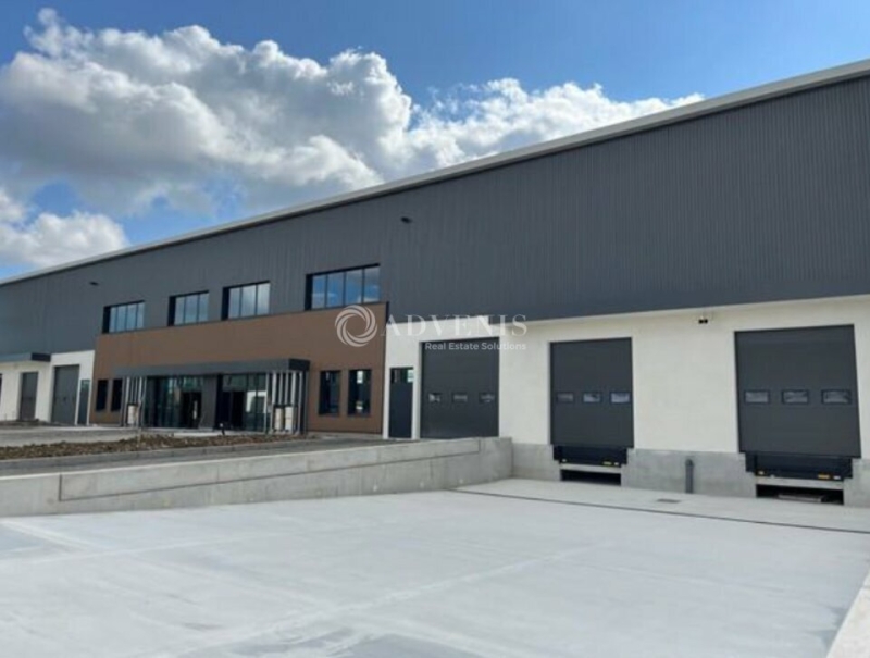 Location Activités Entrepôts SAINT-PRIEST (69800) - Photo 12