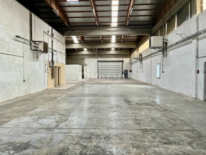 Location Activités Entrepôts CHASSIEU (69680) - Photo 5