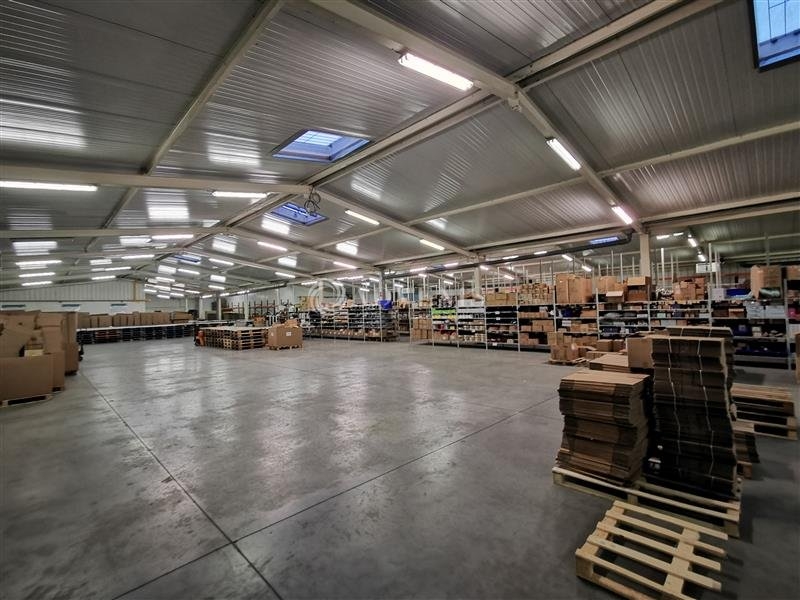 Location Entrepôts LYS LEZ LANNOY (59390) - Photo 9