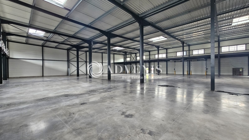 Location Activités Entrepôts SAINGHIN EN MELANTOIS (59262) - Photo 3