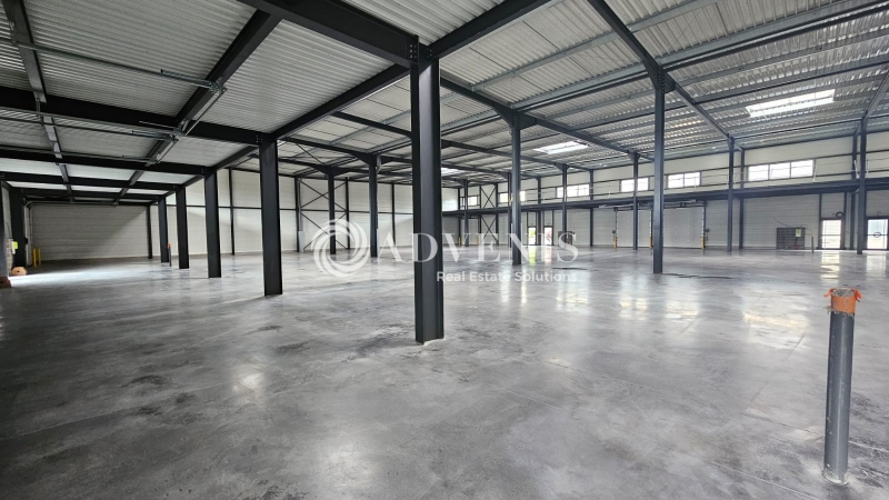 Location Activités Entrepôts SAINGHIN EN MELANTOIS (59262) - Photo 4