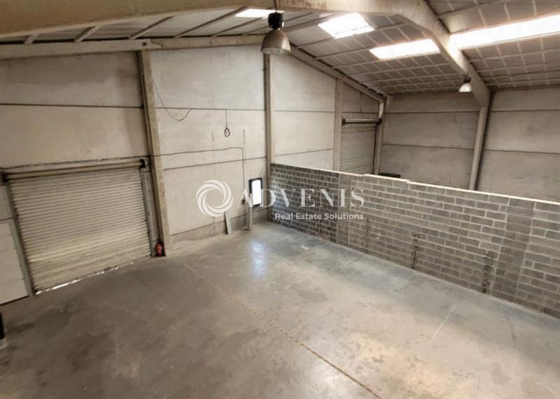 Location Entrepôts VILLENEUVE D'ASCQ (59650) - Photo 4