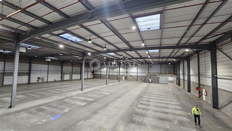 Location Entrepôts VILLENEUVE D'ASCQ (59650) - Photo 5
