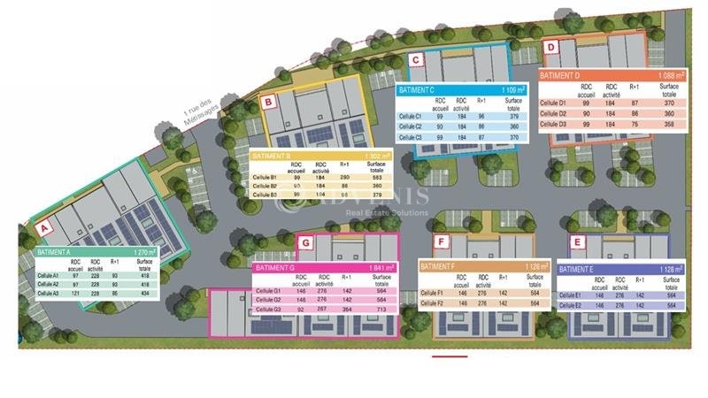 Vente Investisseur Activités Entrepôts TOURCOING (59200) - Photo 11