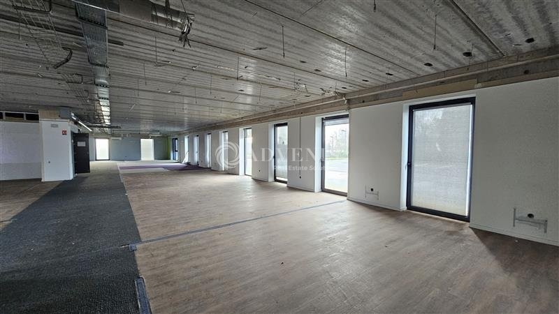 Location Bureaux SAINGHIN EN MELANTOIS (59262) - Photo 10