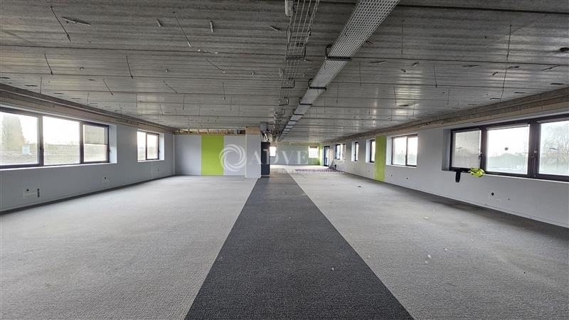 Location Bureaux SAINGHIN EN MELANTOIS (59262) - Photo 13