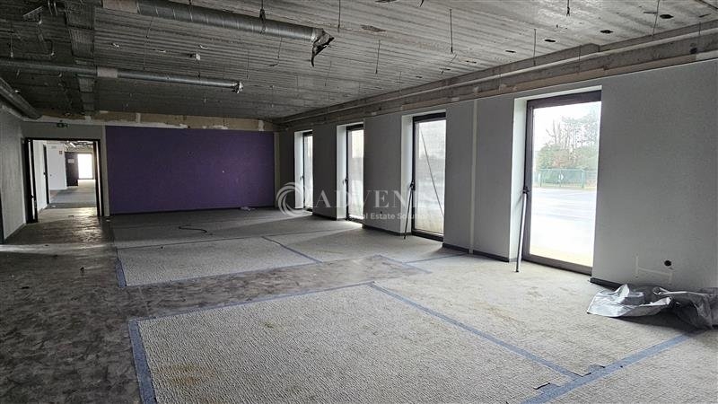 Location Bureaux SAINGHIN EN MELANTOIS (59262) - Photo 7