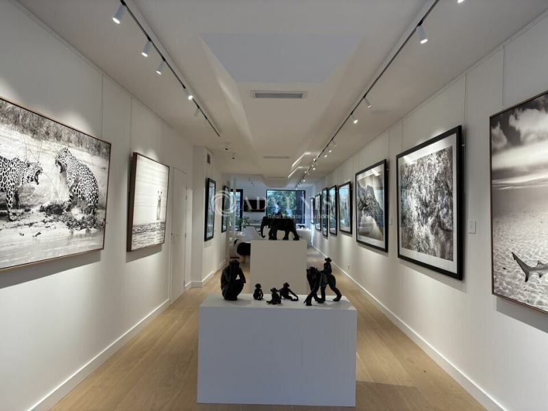 Location Commerces LE TOUQUET-PARIS-PLAGE (62520) - Photo 2