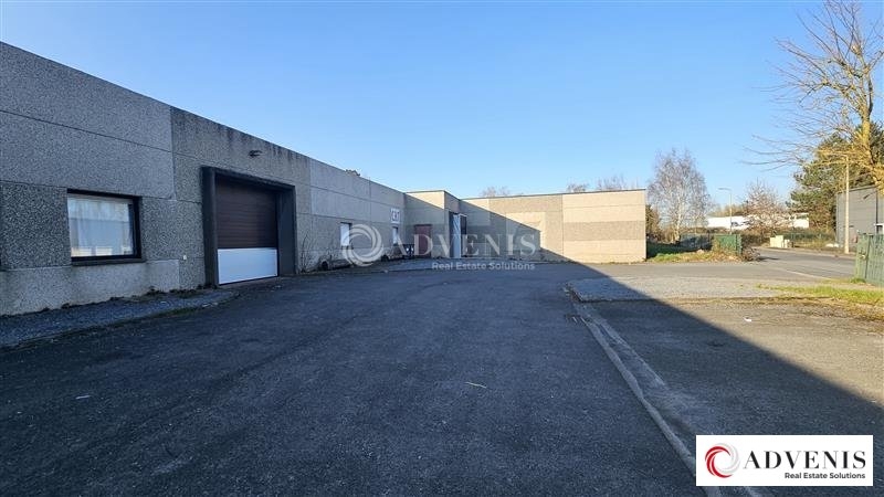 Location Entrepôts HALLUIN (59250) - Photo 1