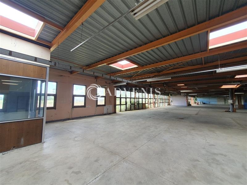 Vente Investisseur Activités Entrepôts DISSAY SOUS COURCILLON (72500) - Photo 4