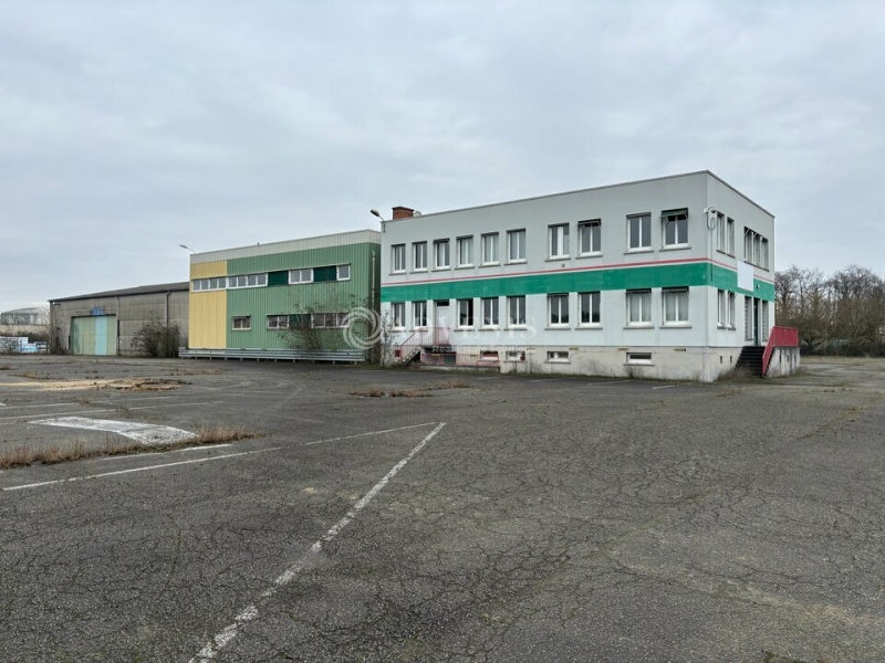 Vente Investisseur Activités Entrepôts LE MANS (72100) - Photo 1