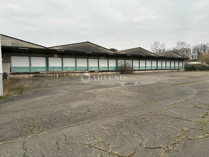 Vente Investisseur Activités Entrepôts LE MANS (72100) - Photo 2