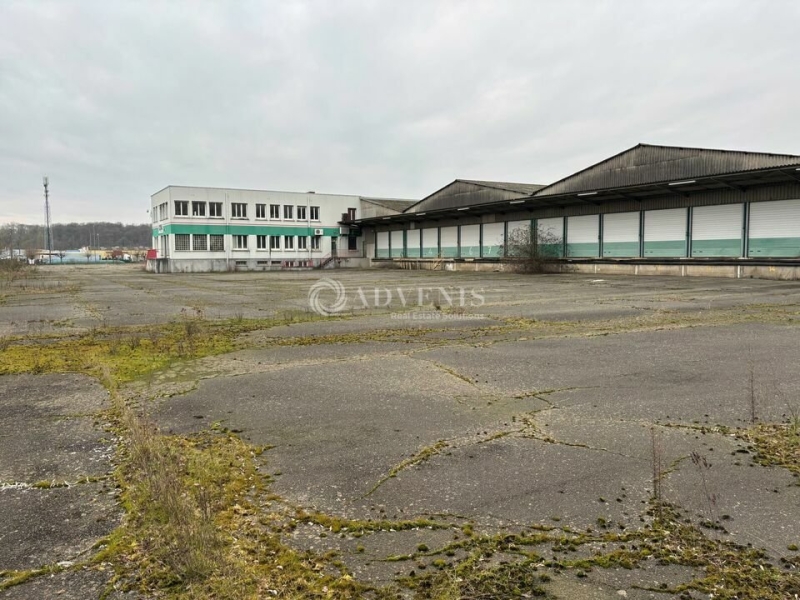 Vente Investisseur Activités Entrepôts LE MANS (72100) - Photo 3