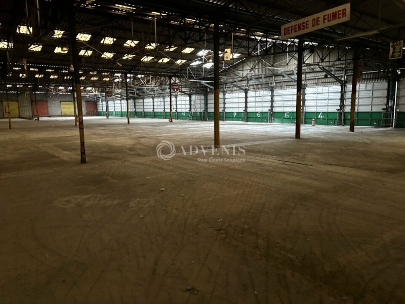 Vente Investisseur Activités Entrepôts LE MANS (72100) - Photo 5