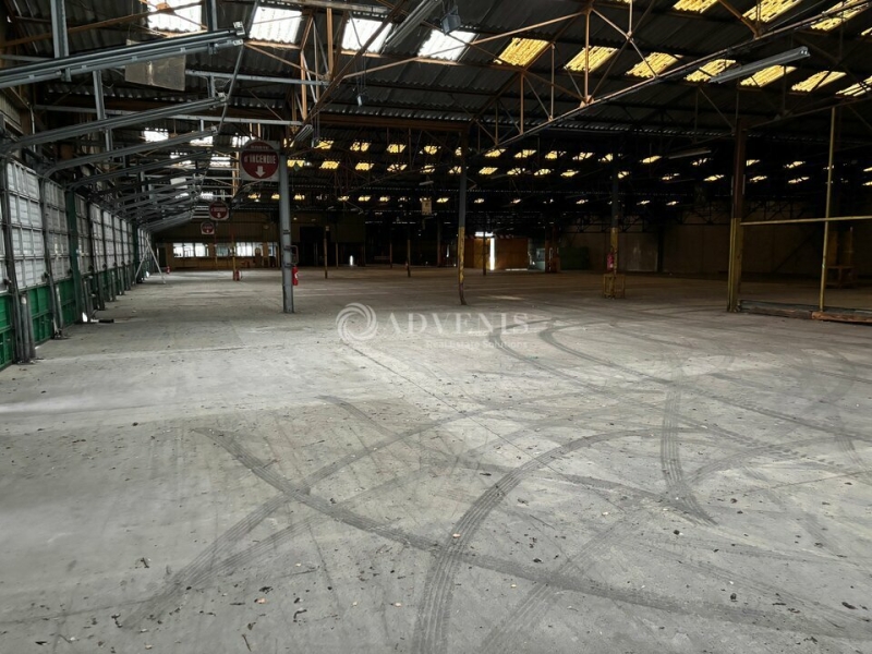 Vente Investisseur Activités Entrepôts LE MANS (72100) - Photo 6