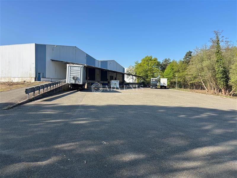 Location Activités Entrepôts MONTFORT LE GESNOIS (72450) - Photo 3
