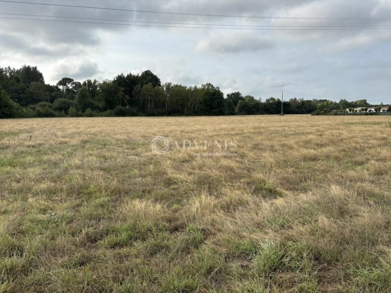Vente Investisseur Terrain GUÉCÉLARD (72230) - Photo 1