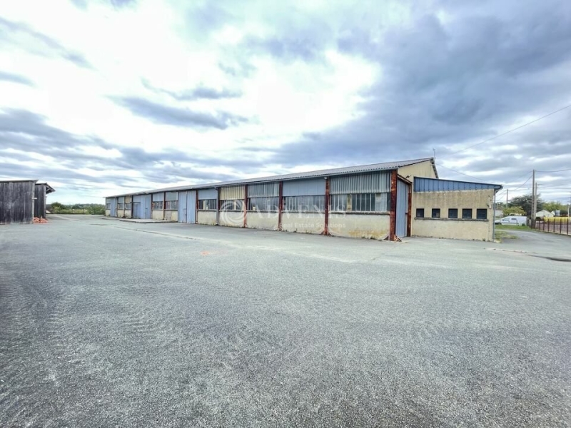 Vente Investisseur Activités Entrepôts LE LUART (72390) - Photo 7