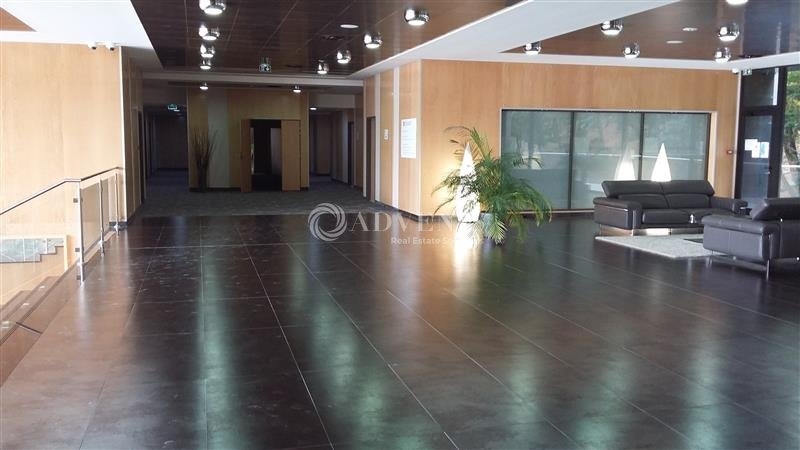 Location Bureaux JOSSIGNY (77600) - Photo 10