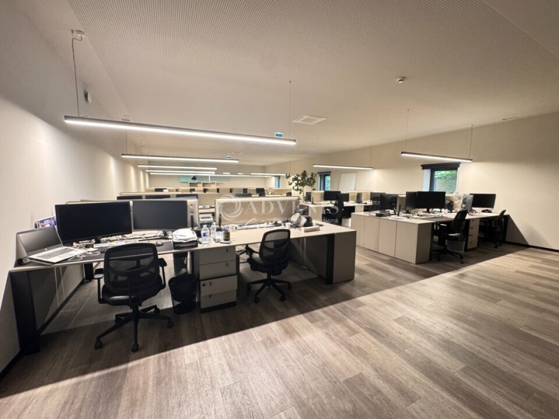 Vente Investisseur Activités Entrepôts BUSSY SAINT MARTIN (77600) - Photo 7