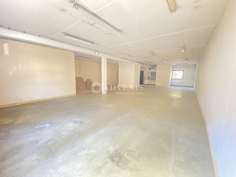 Location Activités Entrepôts LOGNES (77185) - Photo 9