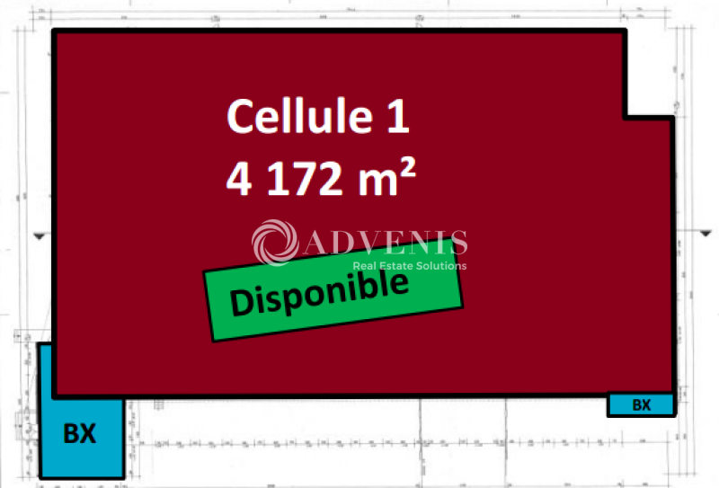 Location Entrepôts COMPANS (77290) - Photo 5