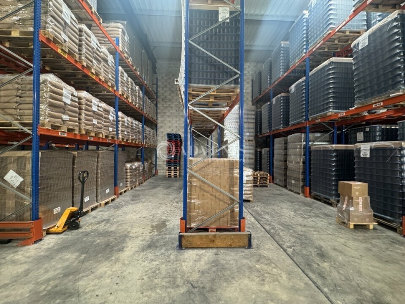 Location Activités Entrepôts GONESSE (95500) - Photo 3