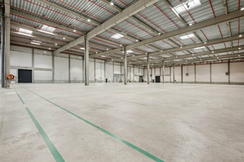 Location Entrepôts MARLY LA VILLE (95670) - Photo 8