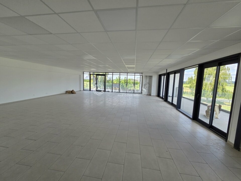 Location Activités Entrepôts VILLENEUVE SOUS DAMMARTIN (77230) - Photo 6