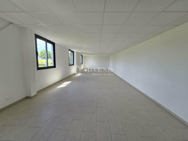 Location Activités Entrepôts VILLENEUVE SOUS DAMMARTIN (77230) - Photo 8