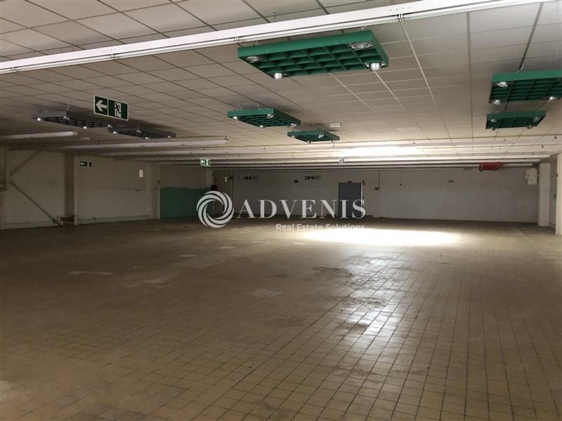 Vente Investisseur Bureaux et activités légères FRAIZE (88230) - Photo 1