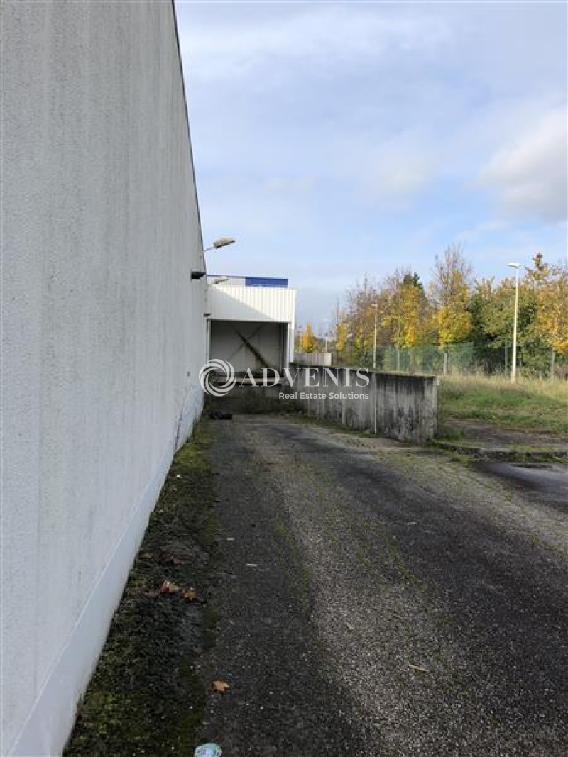 Vente Investisseur Bureaux et activités légères FRAIZE (88230) - Photo 5