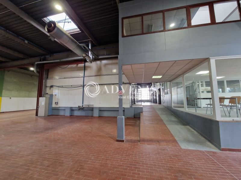 Location Activités Entrepôts FORBACH (57600) - Photo 7