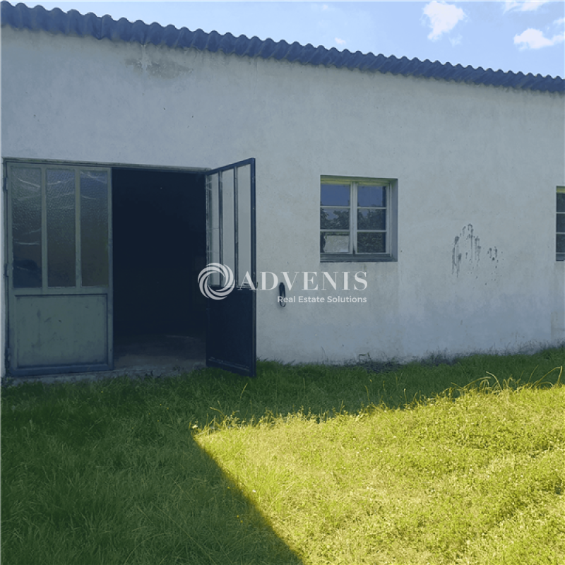 Vente Utilisateur Entrepôts PONT A MOUSSON (54700) - Photo 2