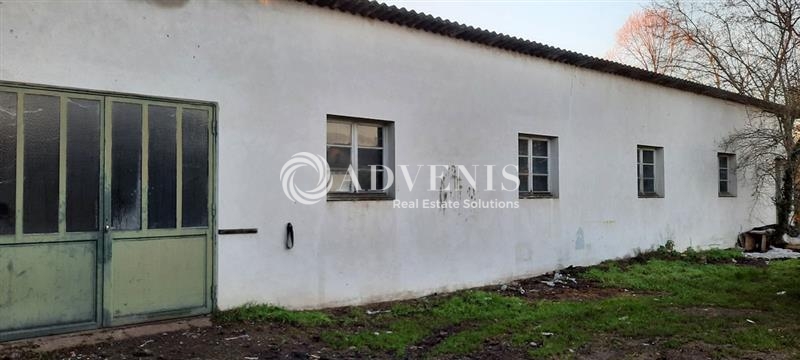 Vente Utilisateur Entrepôts PONT A MOUSSON (54700) - Photo 5