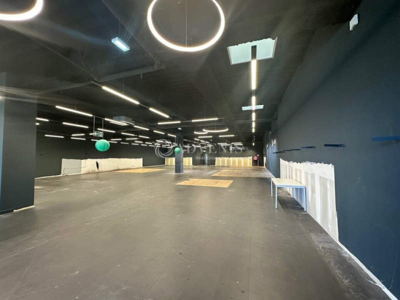 Location Commerces GOLBEY (88190) - Photo 7