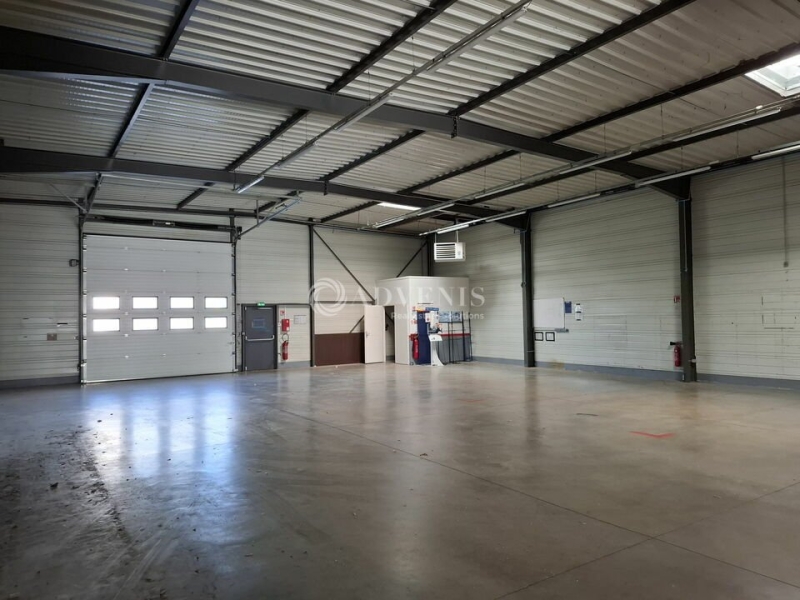 Location Activités Entrepôts ESSEY LES NANCY (54270) - Photo 3