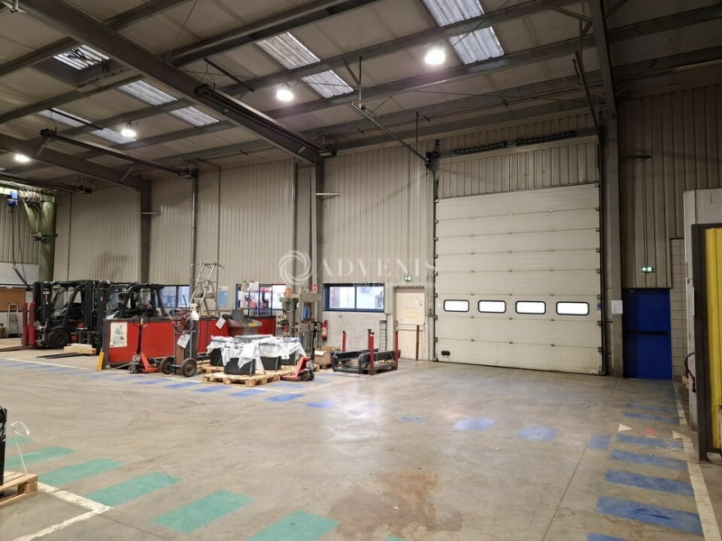 Vente Investisseur Activités Entrepôts MESSEIN (54850) - Photo 5