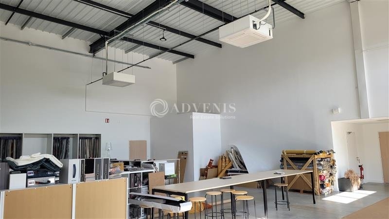 Location Activités Entrepôts THOUARE SUR LOIRE (44470) - Photo 5