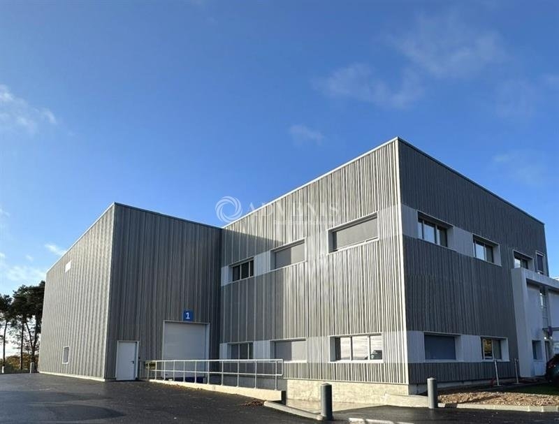 Location Activités Entrepôts LES SORINIERES (44840) - Photo 11