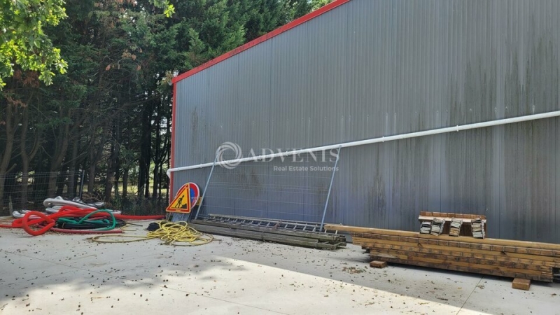 Location Activités Entrepôts THOUARE SUR LOIRE (44470) - Photo 6