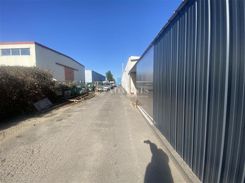 Location Activités Entrepôts CHENNEVIERES SUR MARNE (94430) - Photo 11