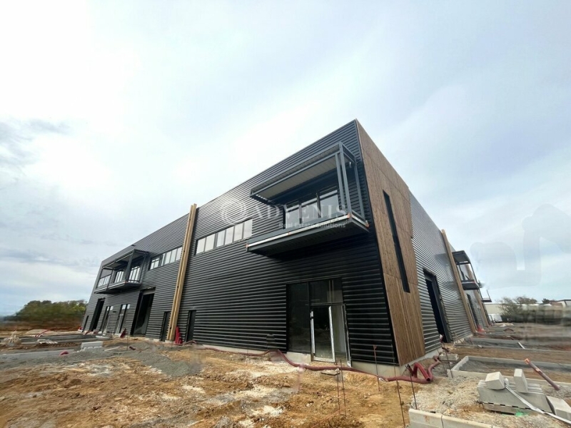 Location Activités Entrepôts LA QUEUE EN BRIE (94510) - Photo 8