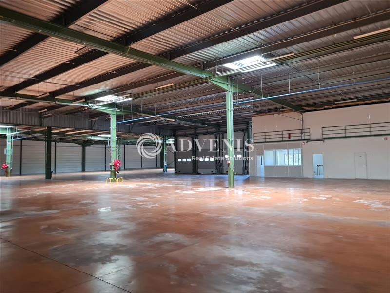 Location Activités Entrepôts BALMA (31130) - Photo 4