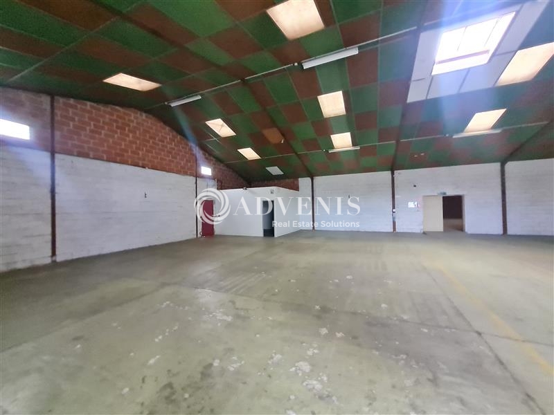 Location Commerces SAINT JORY (31790) - Photo 2