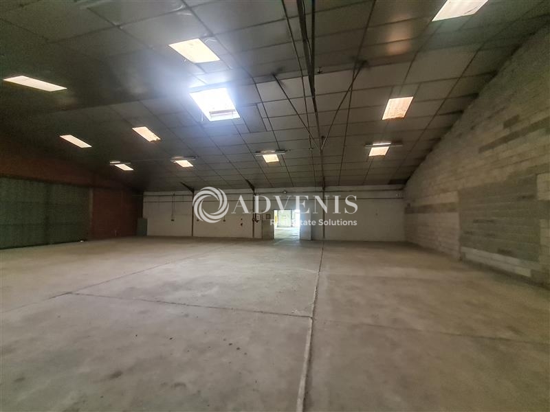 Location Commerces SAINT JORY (31790) - Photo 3